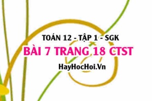 Bài 7 trang 18 Toán 12 tập 1 Chân trời sáng tạo